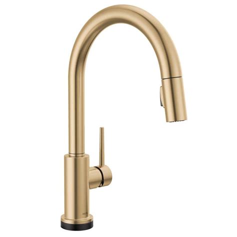 shower faucet with Alexa compatibility